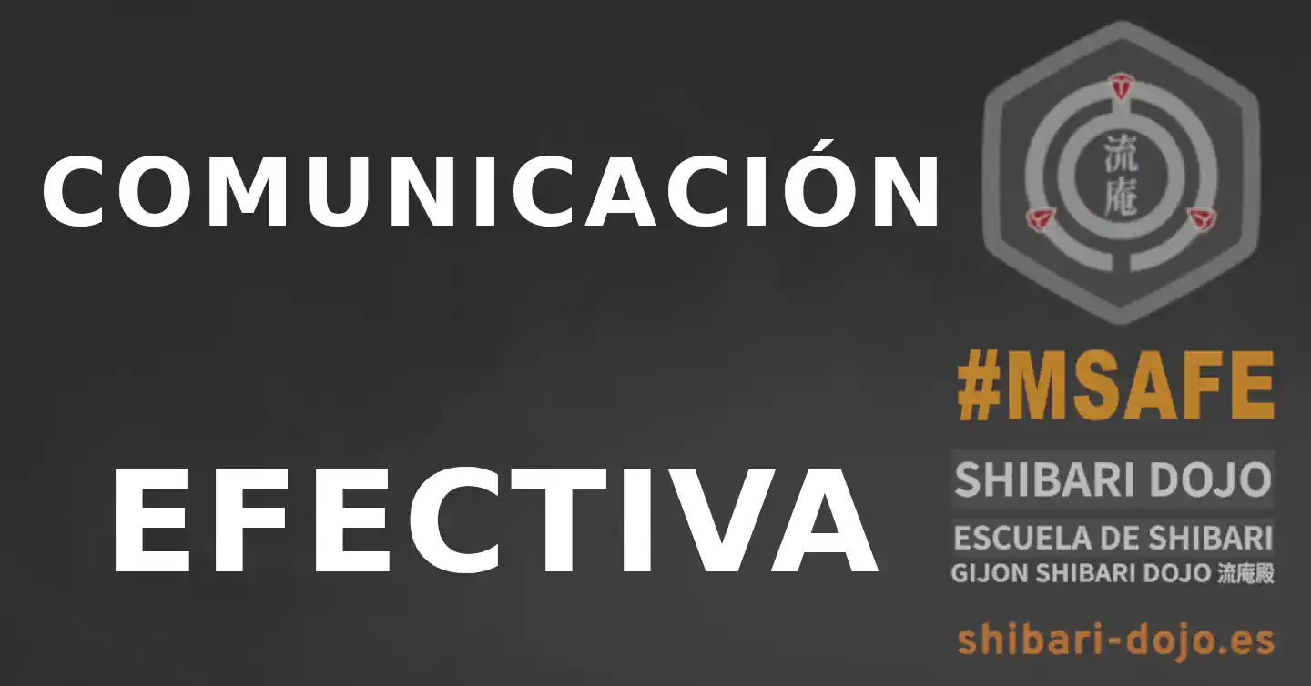 Comunicación Efectiva en Shibari