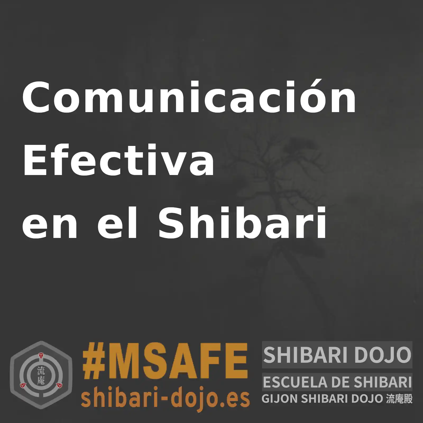 Comunicación Efectiva en Shibari