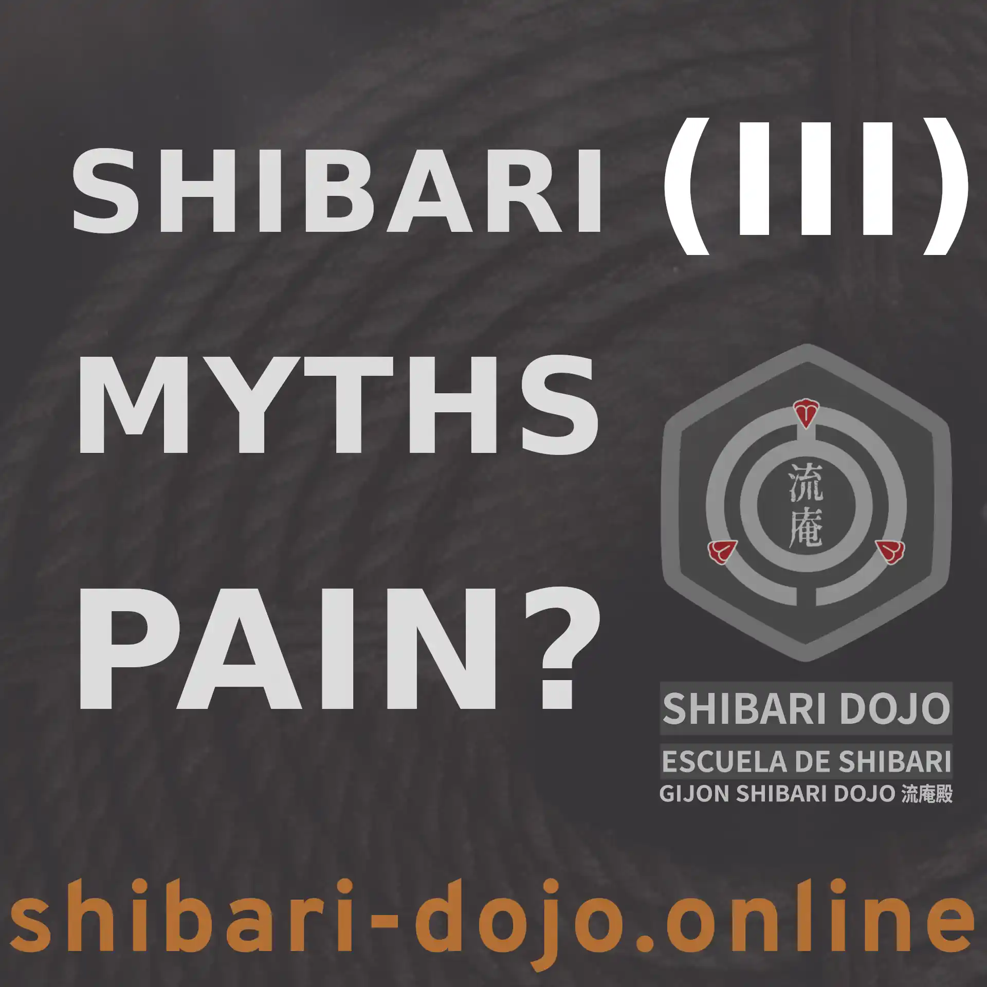 Shibari Myths: Pain and Passivity in Erotic Practice