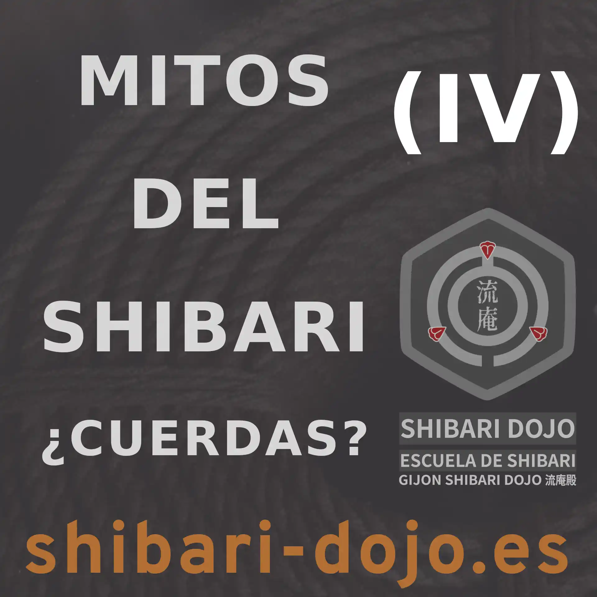 Mitos del Shibari Cuerdas y Aprendizaje Crítico
