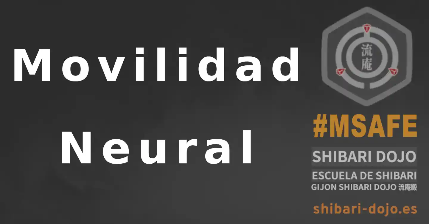 Movilidad Neural en el Shibari