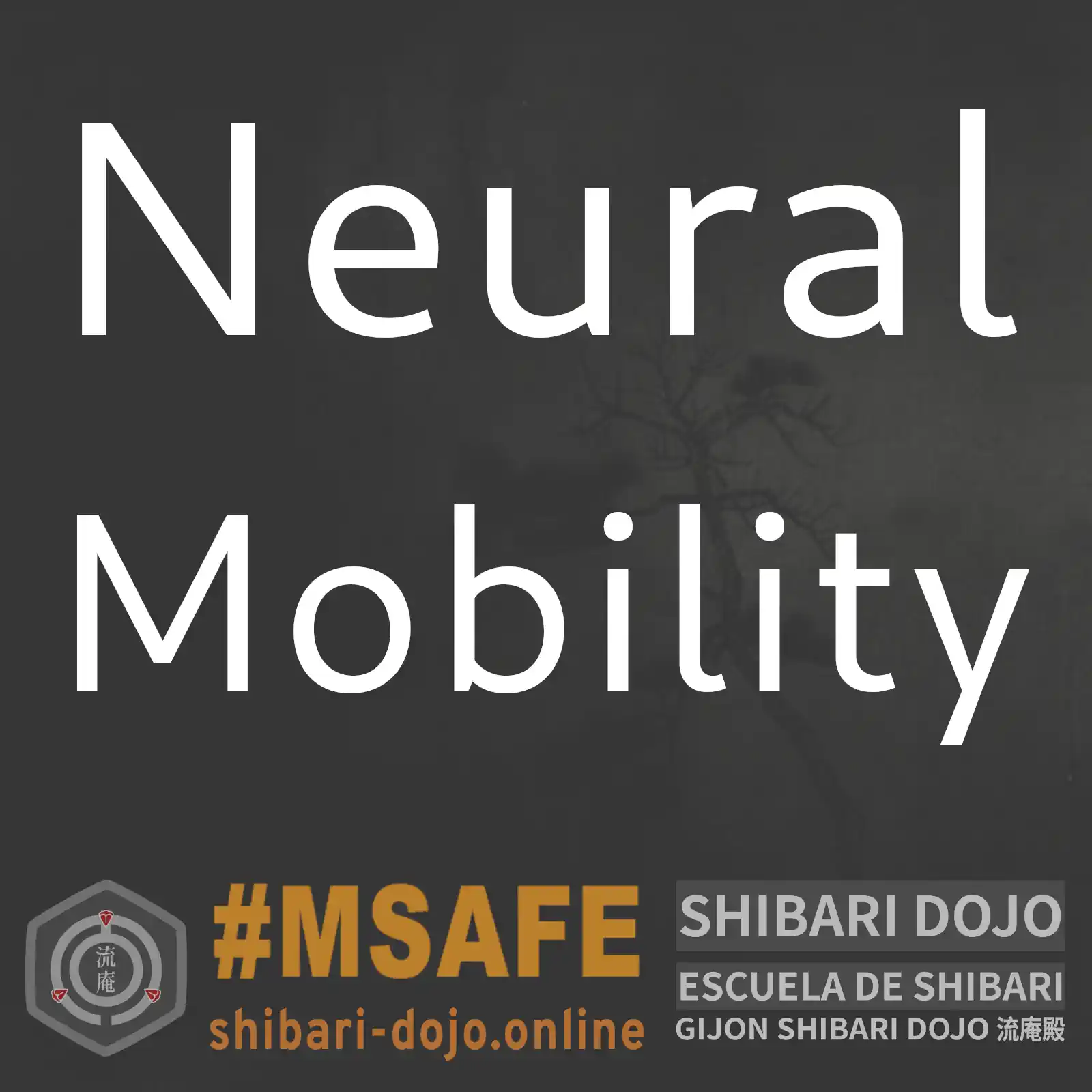 Shibari Neural Mobility