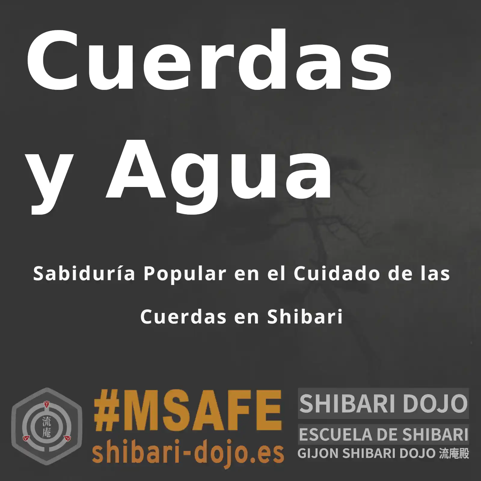 Cuerdas y Agua: Sabiduría Popular en el Cuidado de las Cuerdas en Shibari