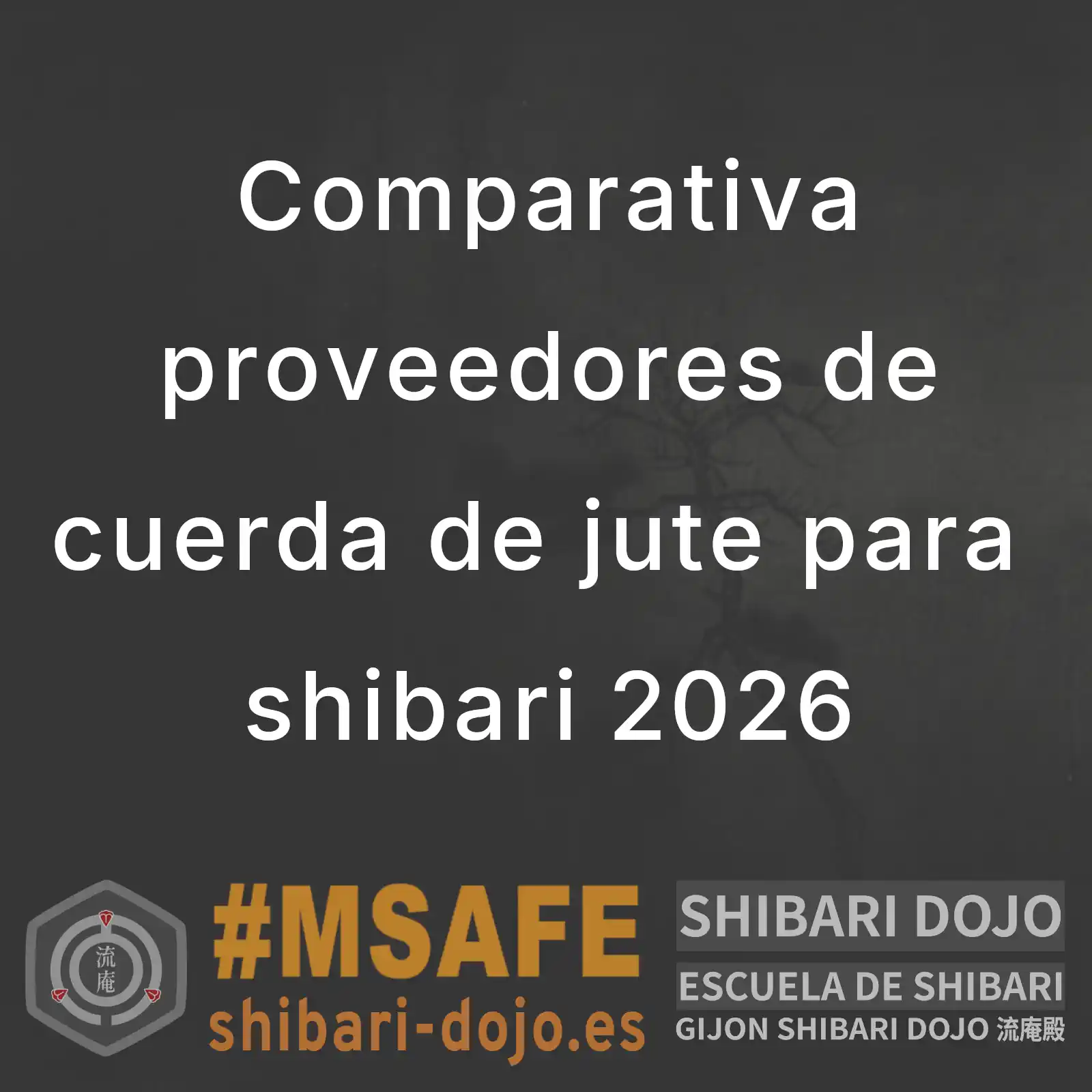 Comparativa de proveedores de cuerda para shibari 2026