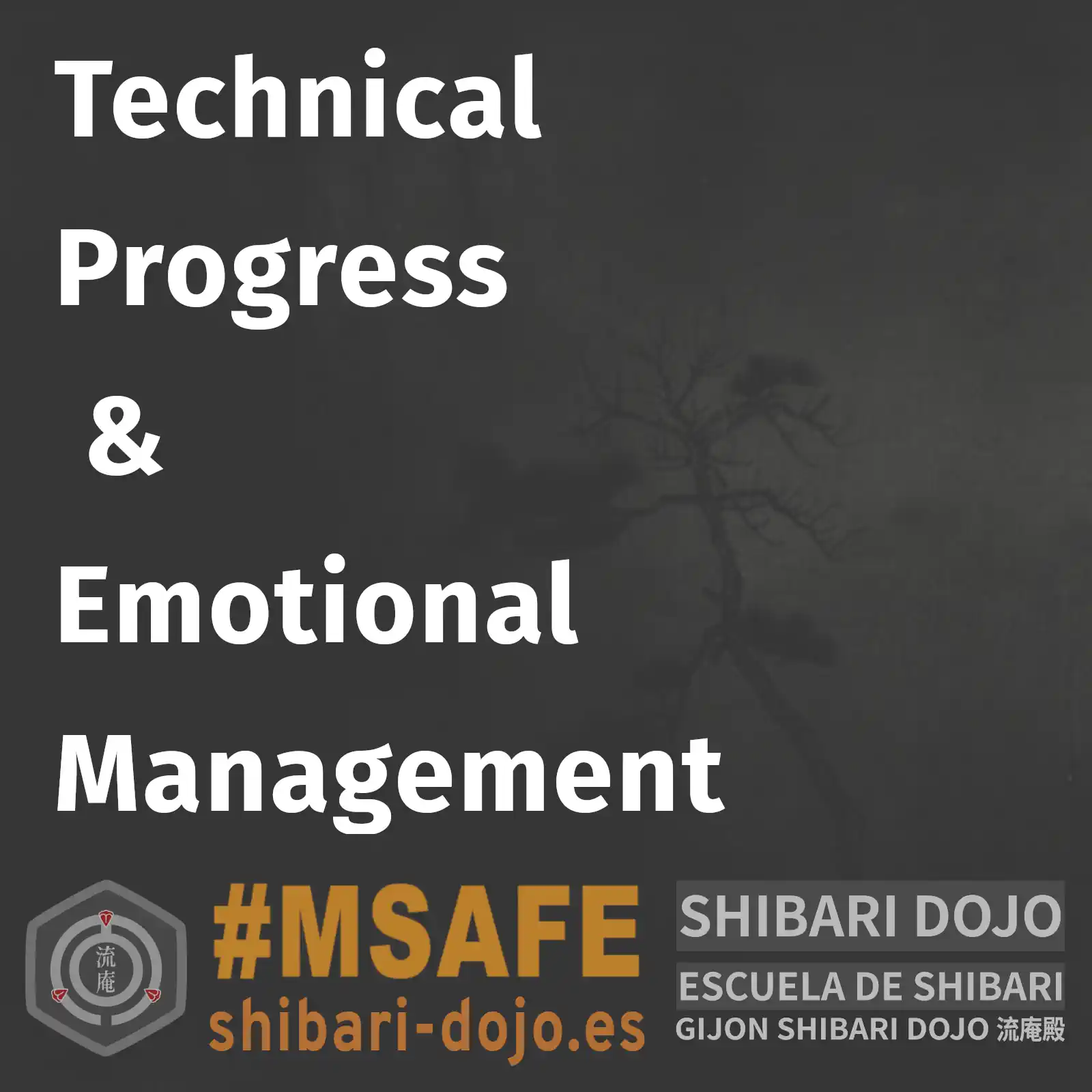 Technical Progress and Emotional Management Learning Shibari