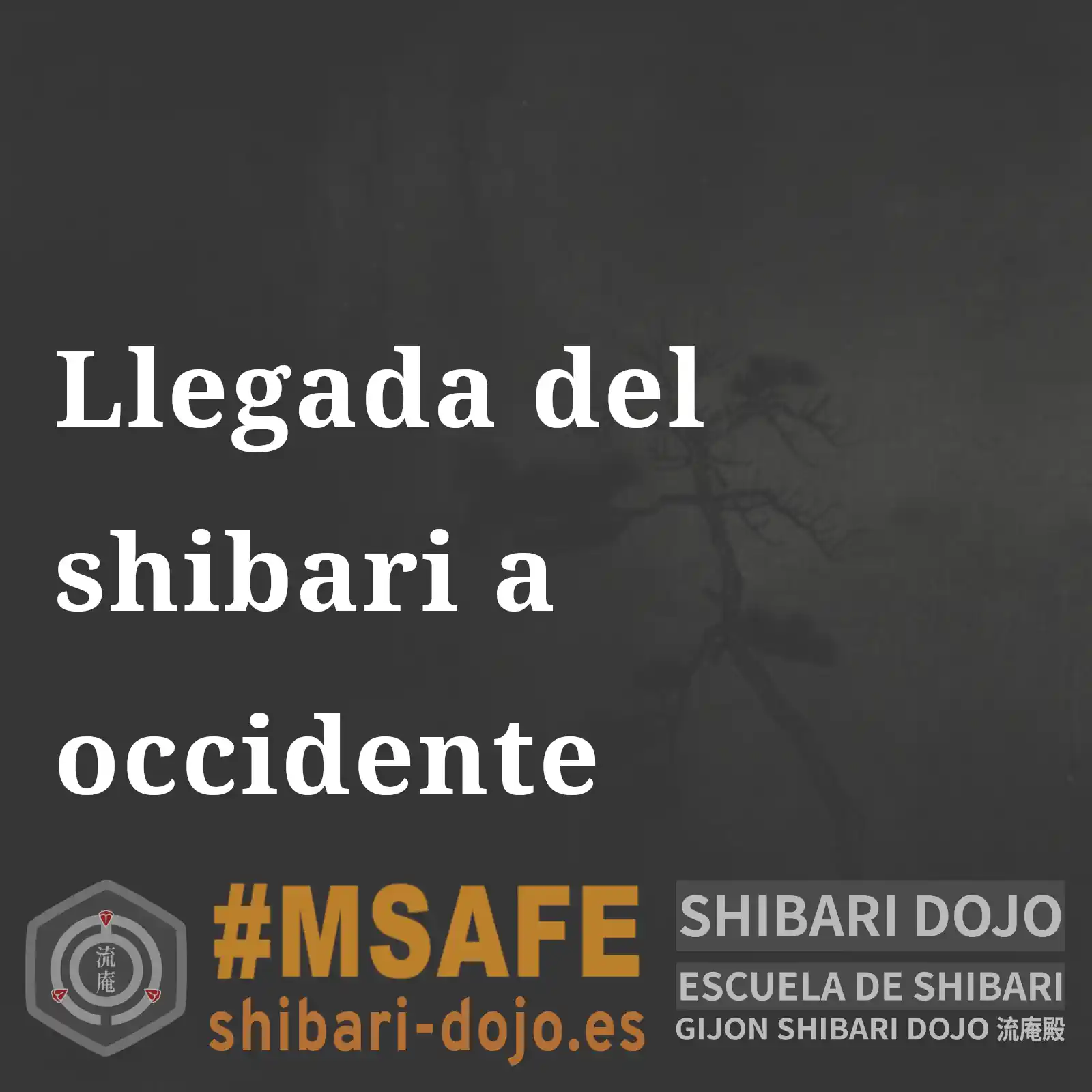 Llegada del shibari a occidente