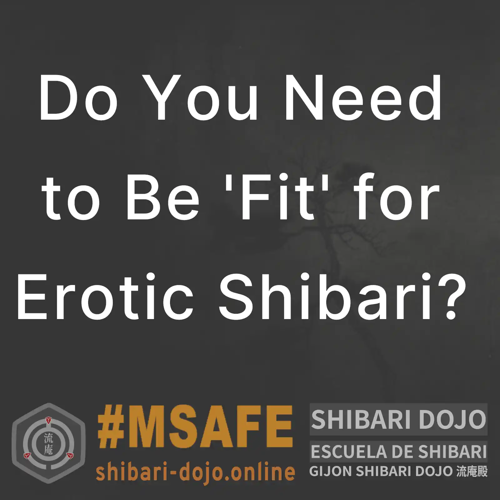 Do You Need to Be 'Fit' for Erotic Shibari?