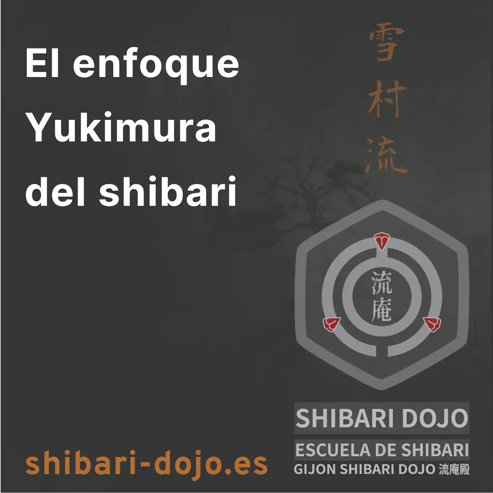 El enfoque de Yukimura para el Shibari (雪村流)