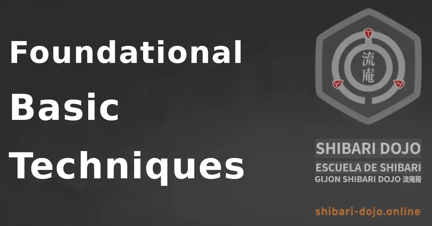 Foundational and Basic Techniques