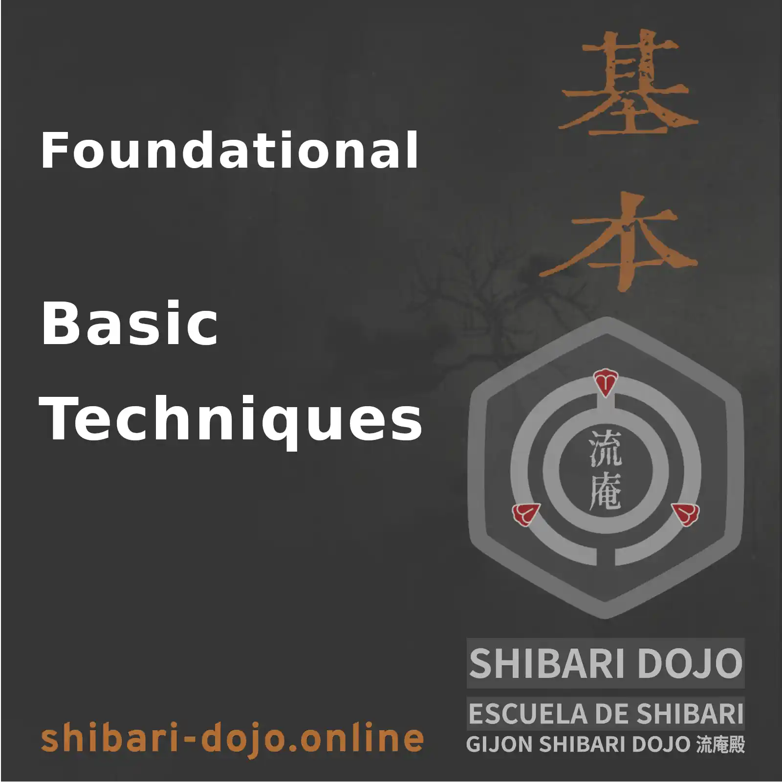 Foundational and Basic Techniques