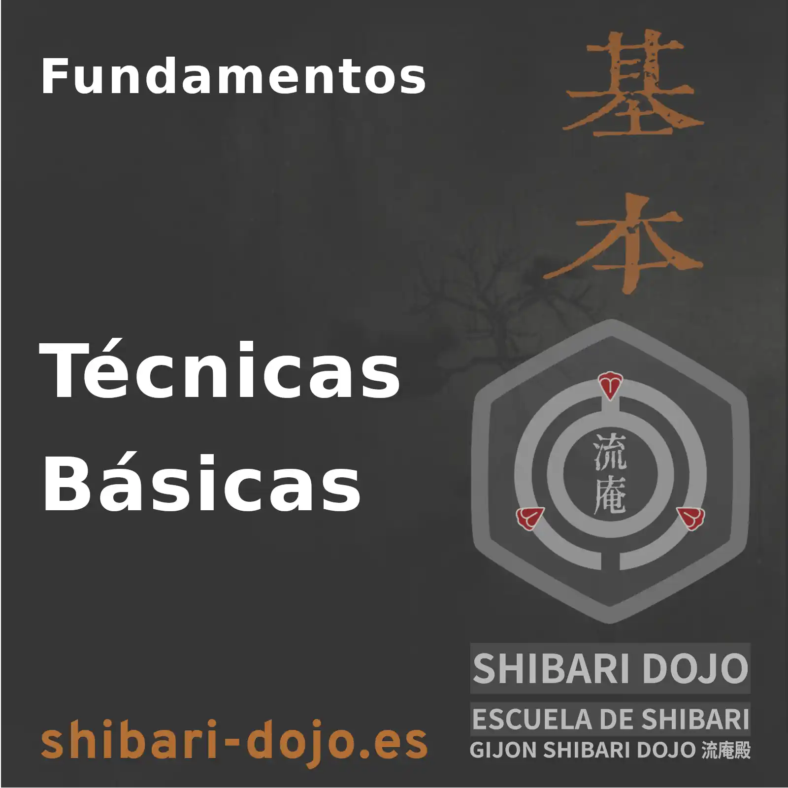 Fundamentos y Técnicas Básicas