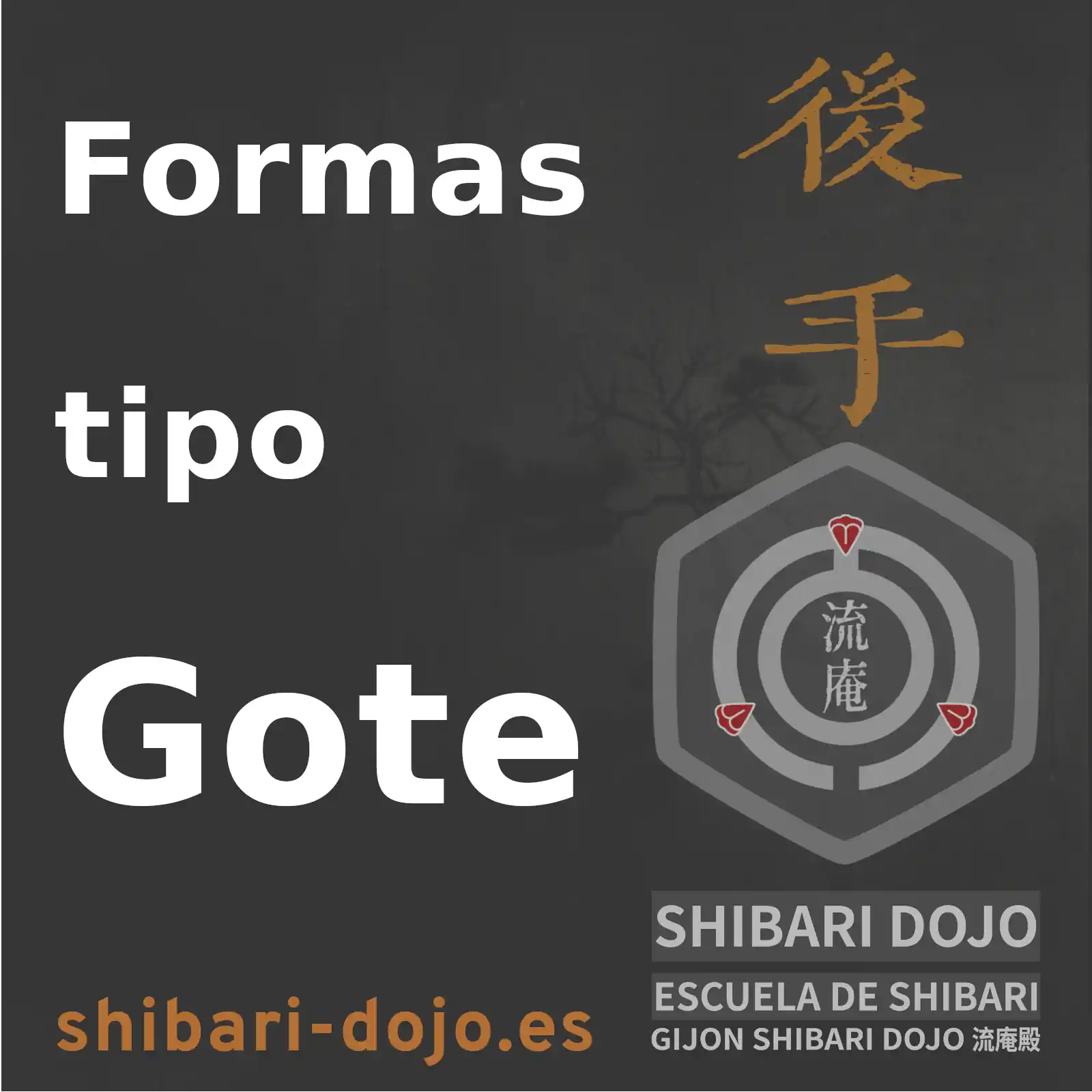 Formas tipo Gote
