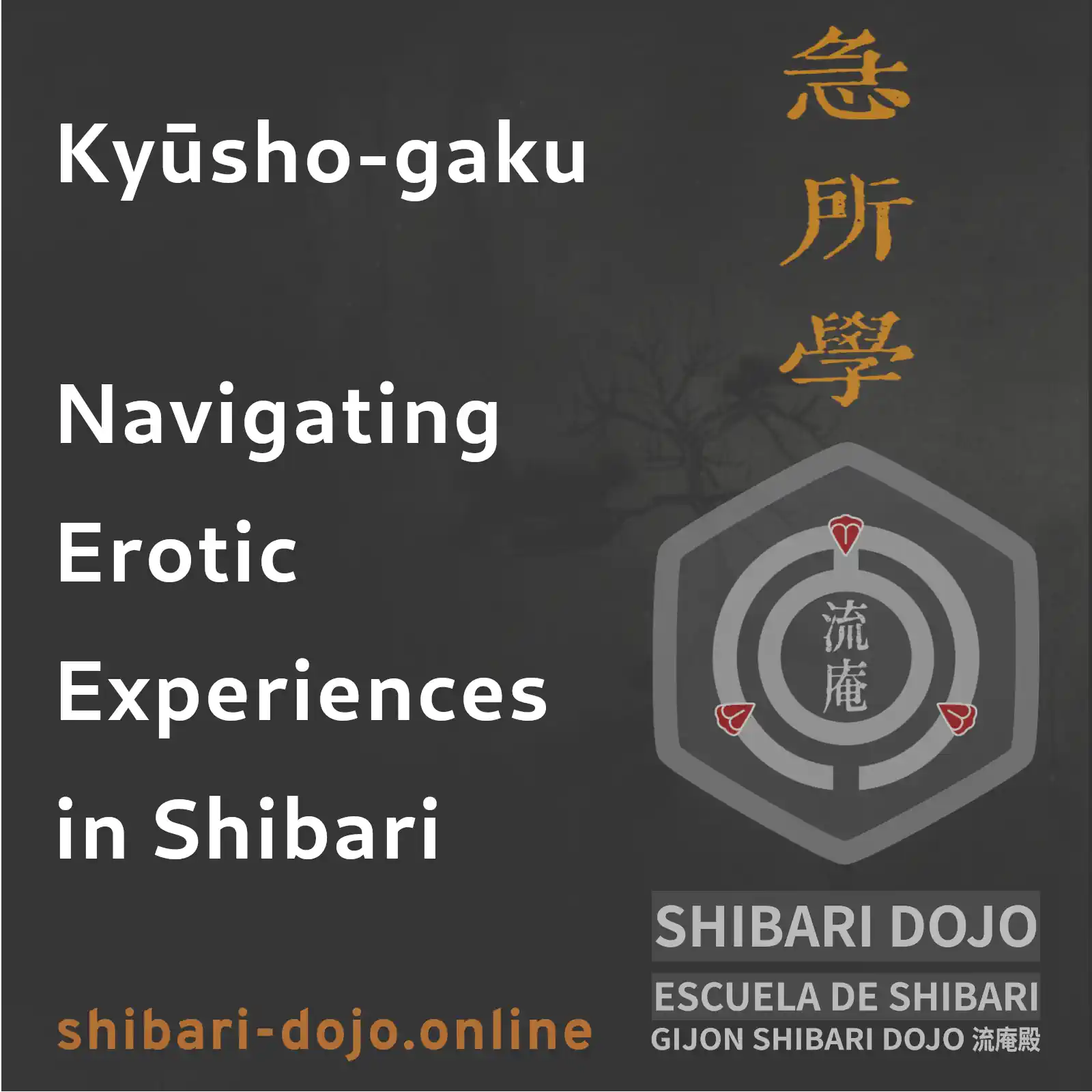 Kyosho-gaku: Key Point & Erogenous Zones