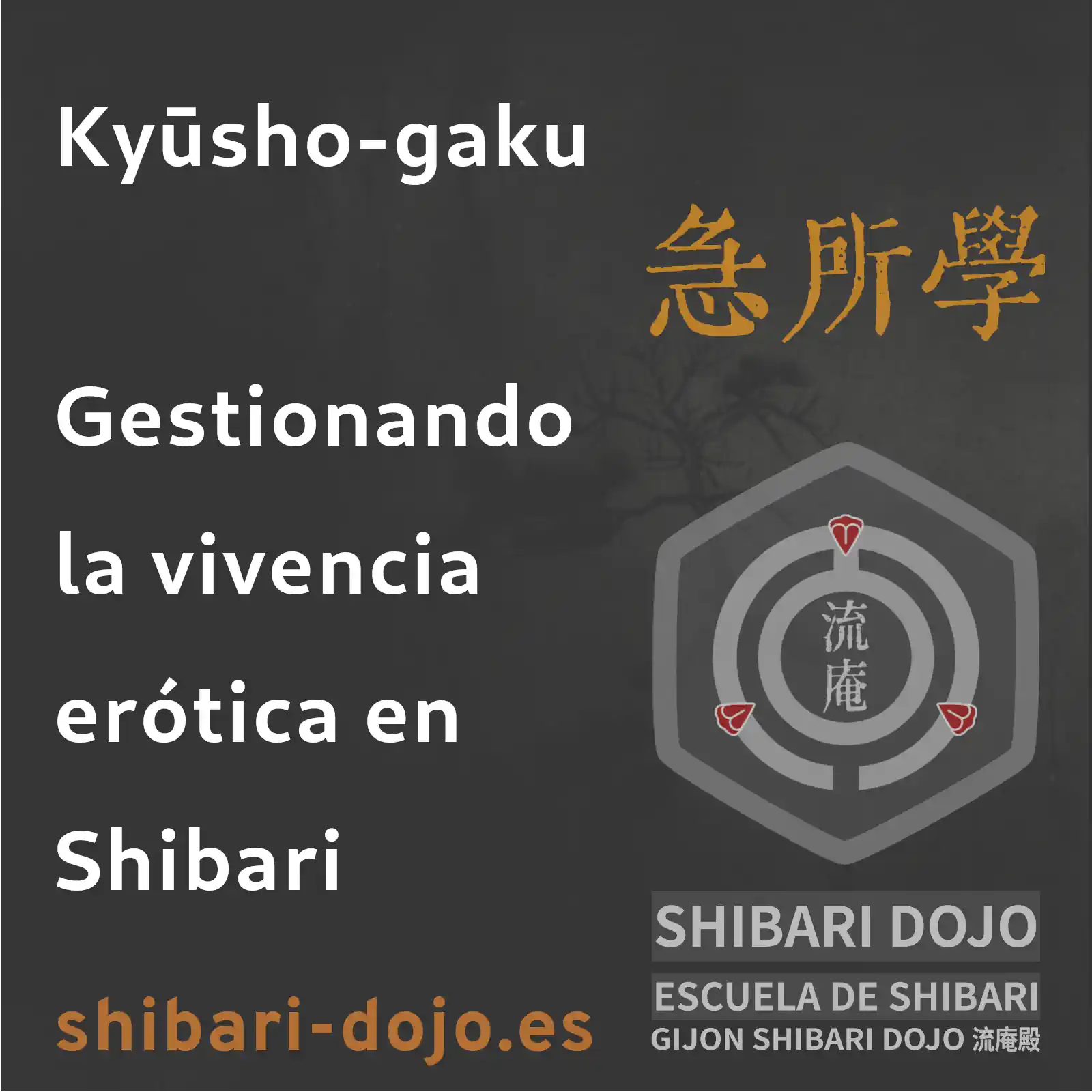 Kyosho-gaku: Puntos Clave y Zonas Erógenas