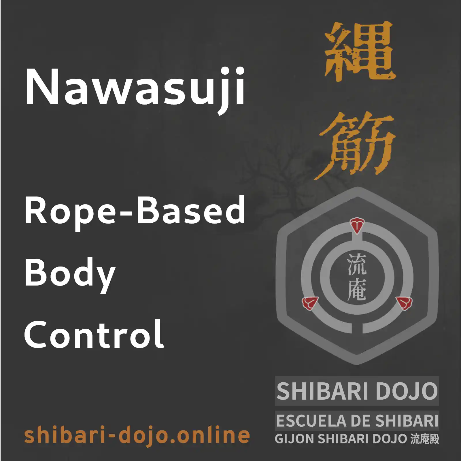Nawasuji: Techniques for Managing the Body Through Rope