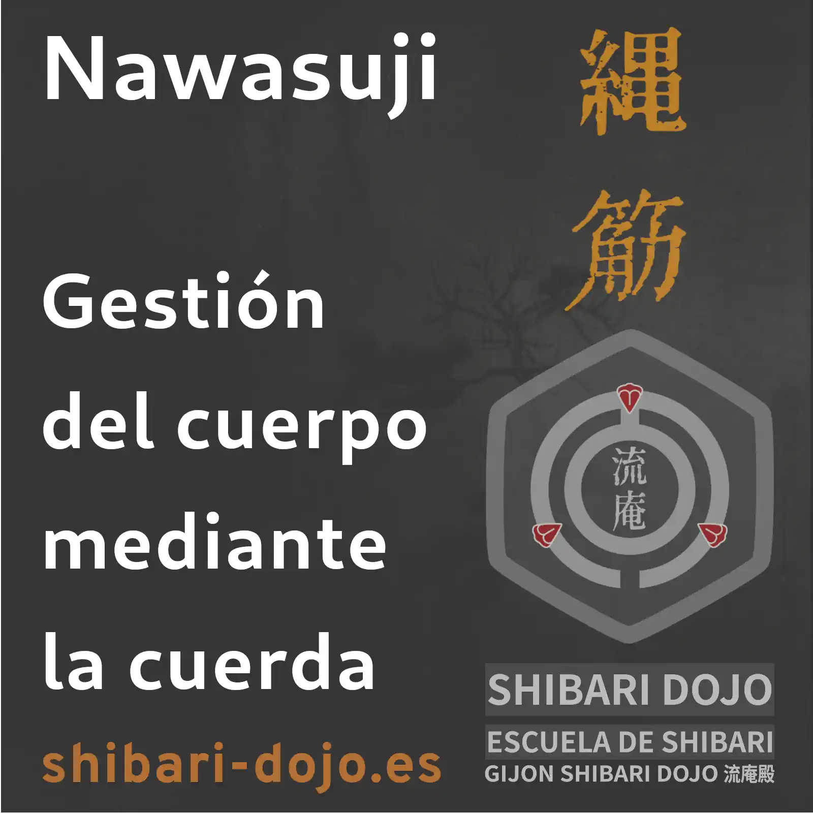 Nawasuji: Técnicas para la gestión del cuerpo mediante la cuerda