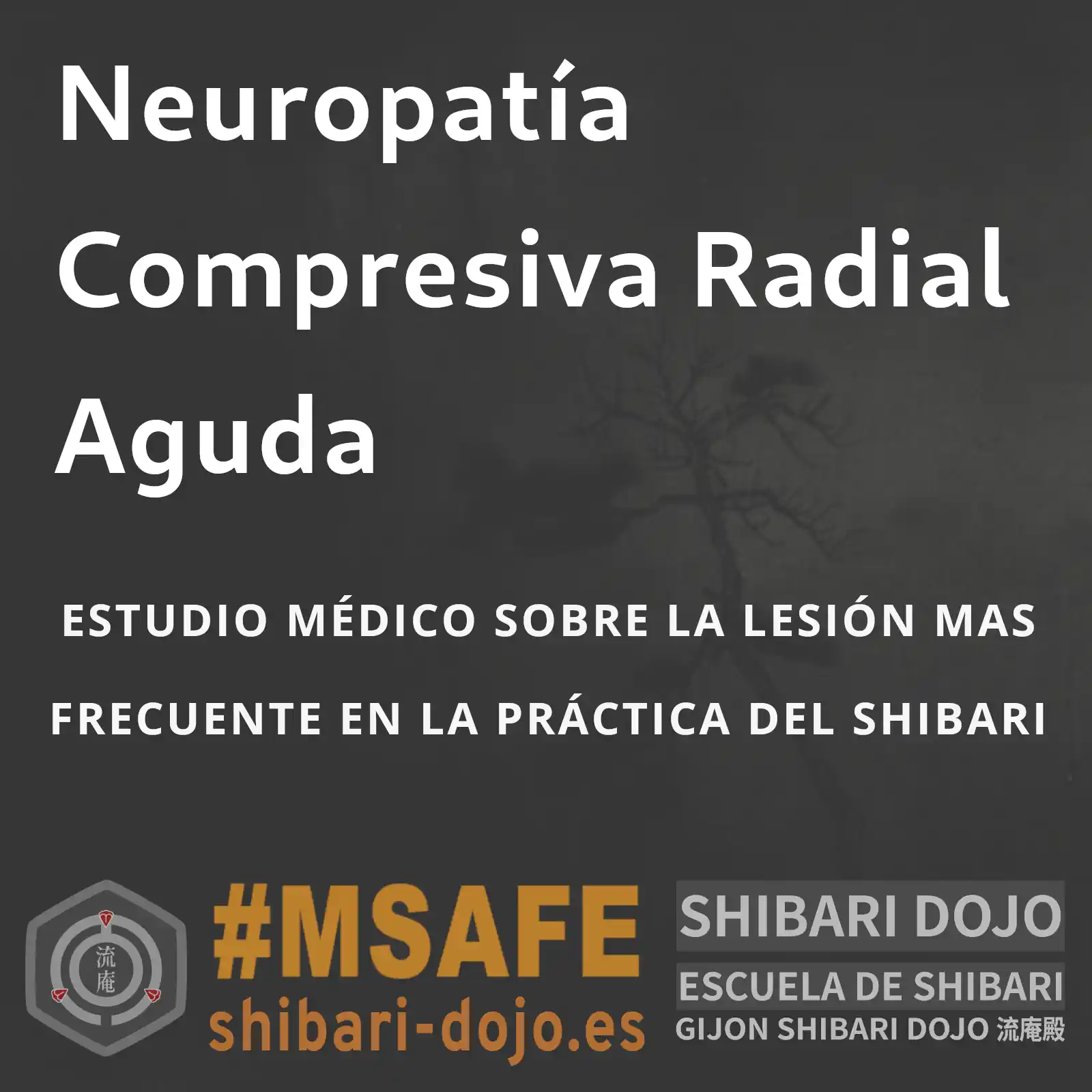 Neuropatía Compresiva Radial Aguda en la Práctica del Shibari