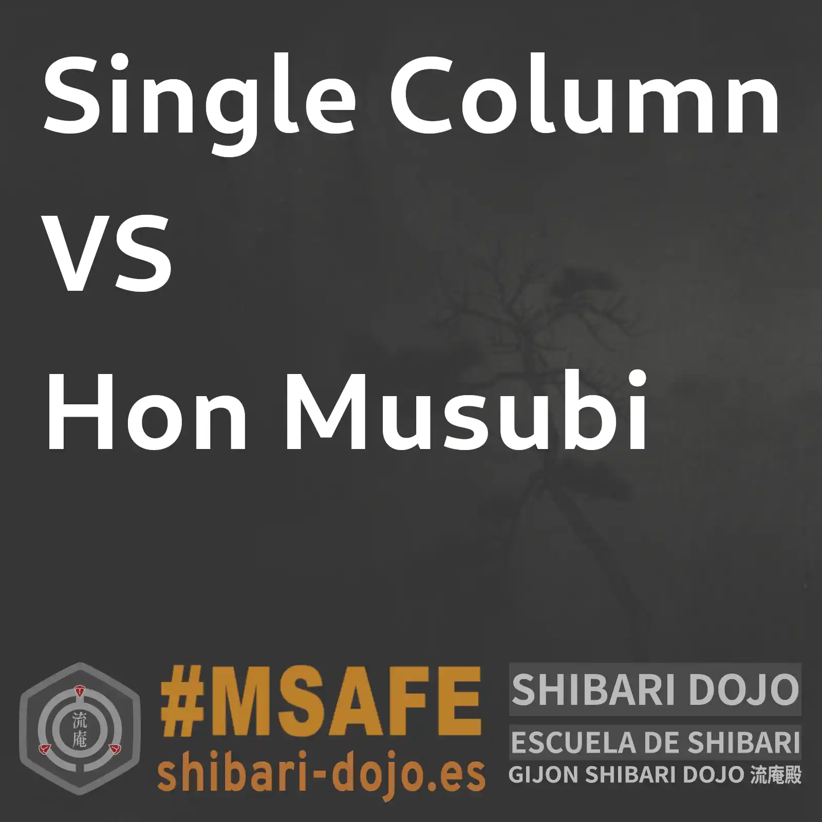 Hon Musubi y Single Column no son lo mismo