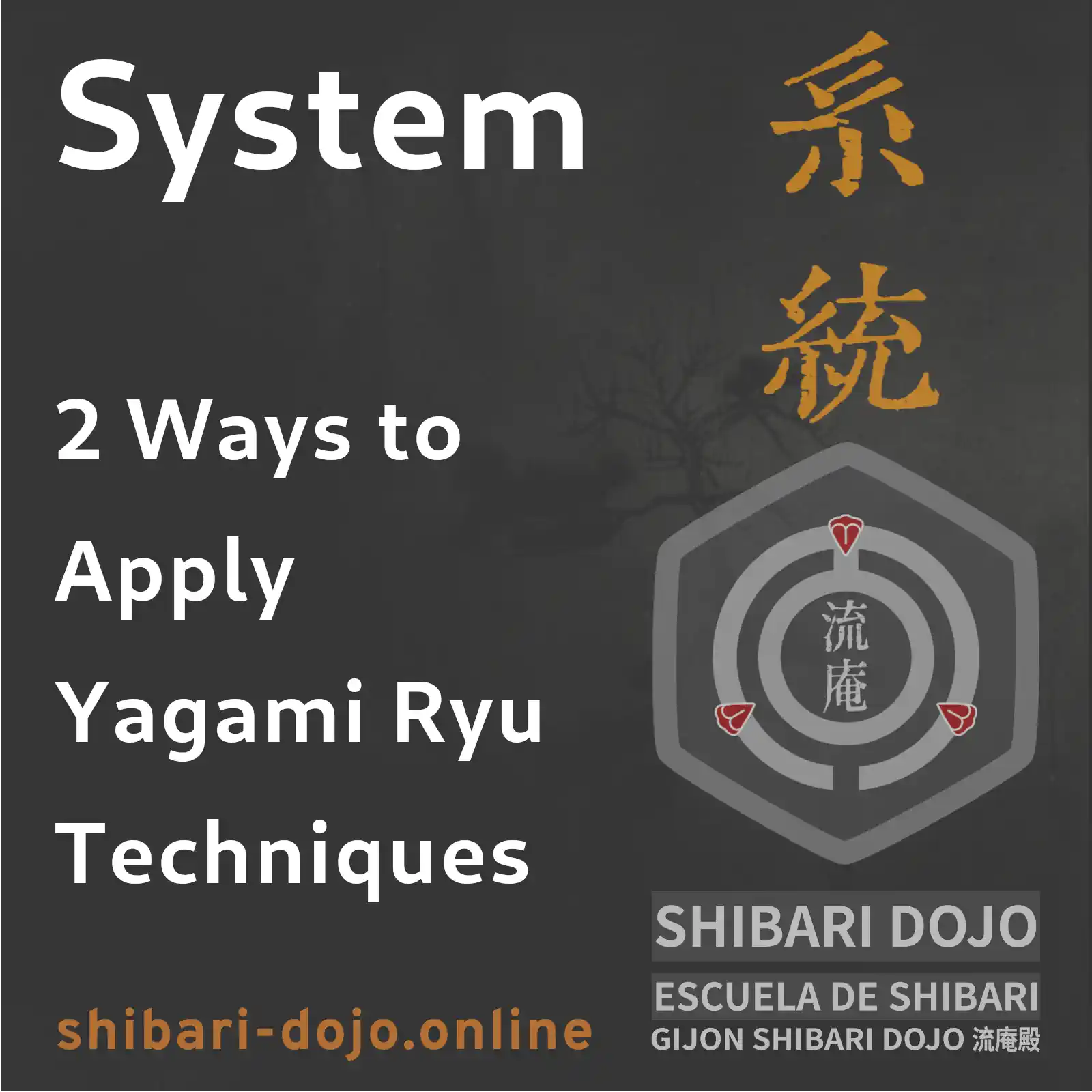 2 Ways to Apply Technique in Yagami Ryu