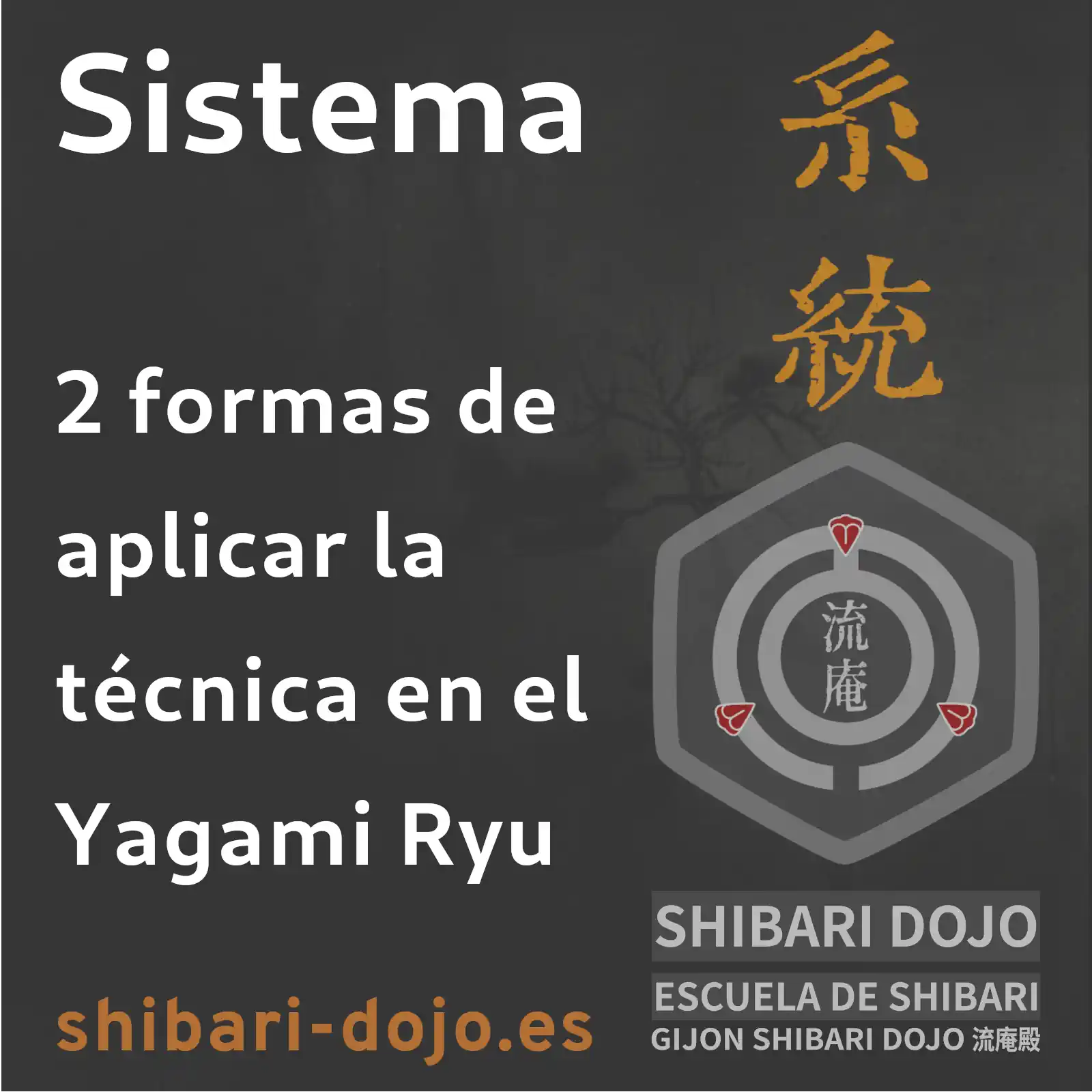 Las 2 formas de aplicar la técnica en el Yagami Ryu