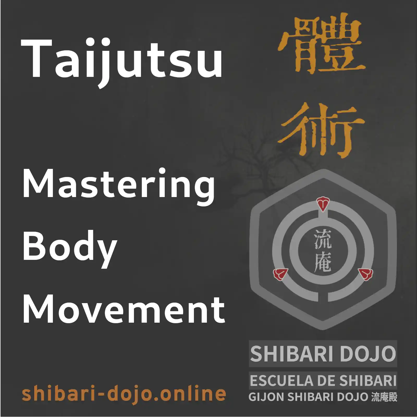 Taijutsu: Safe Body Management in Shibari