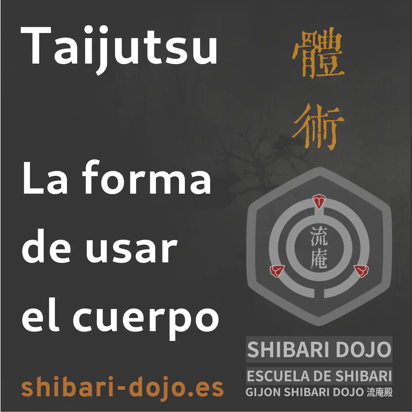 La forma de usar el cuerpo con seguridad en shibari